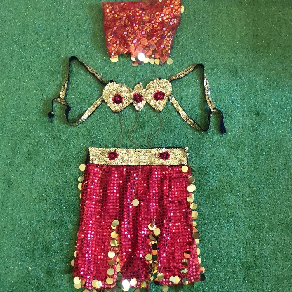 Handmade Belly Dancer baby girl custome set